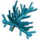 Dragon Sapling