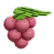 Lingonberry
