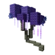Moon Blossom