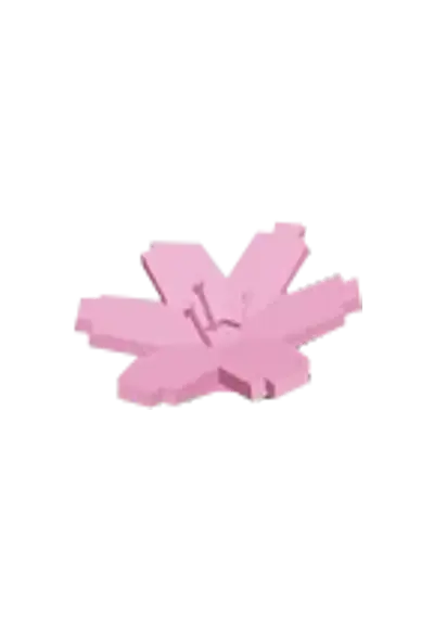 Cherry Blossom